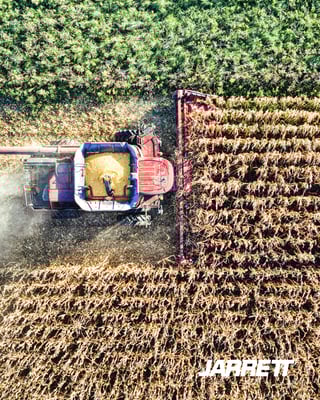 Agricultureal exports